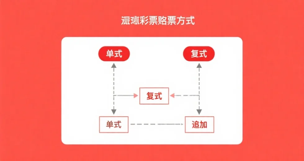 简洁直观的流程图,展示“单式”、“复式”、“追加”彩票投注方式的区别和流程